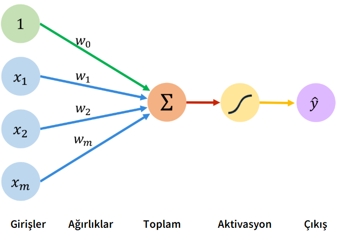 Şekil 4. Perceptron 